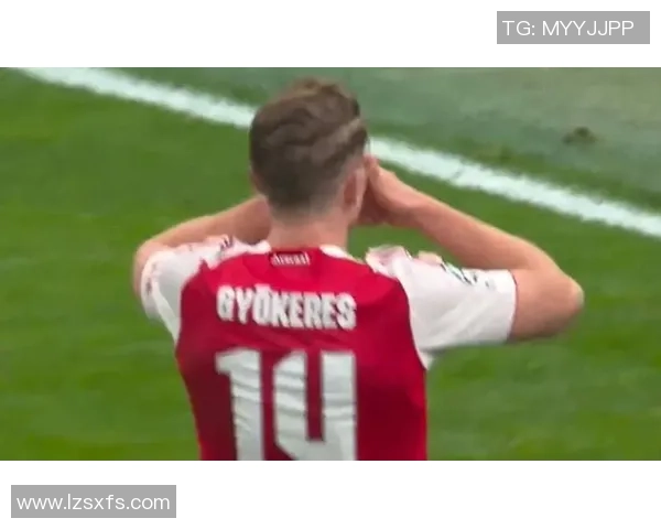 欧冠激战阿森纳逆转里昂争议判罚引发全场沸腾